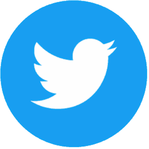 twitterIcon